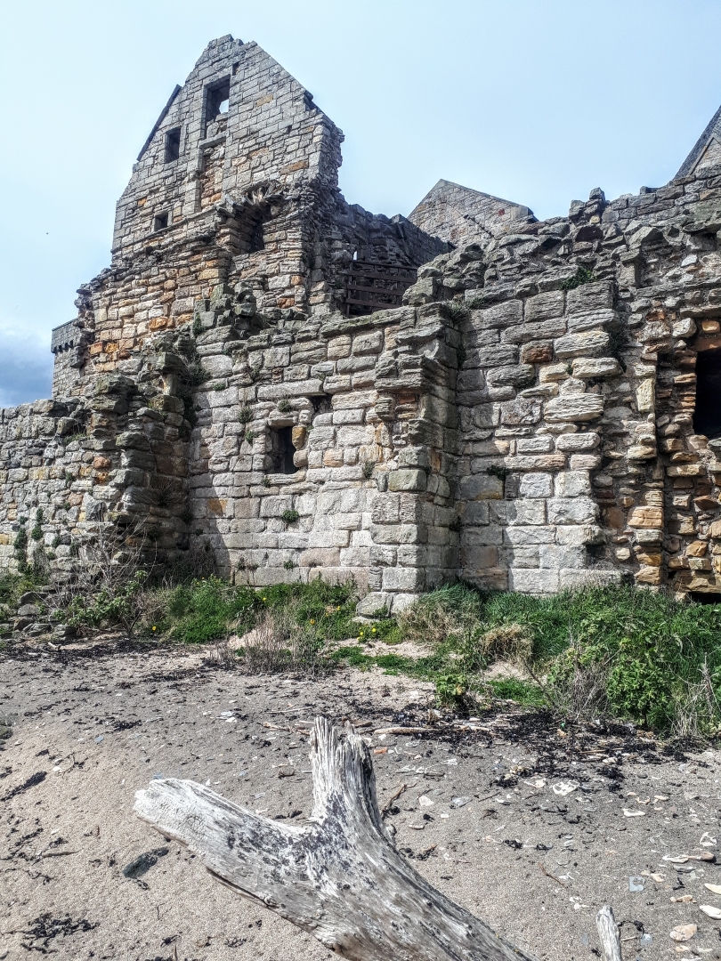 inchcolm island boat trip