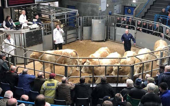 https://www.thecourier.co.uk/wp-content/uploads/sites/12/2019/12/Head-of-Livestock-John-Angus-selling-cattle-at-Thainstone-593x372.jpg