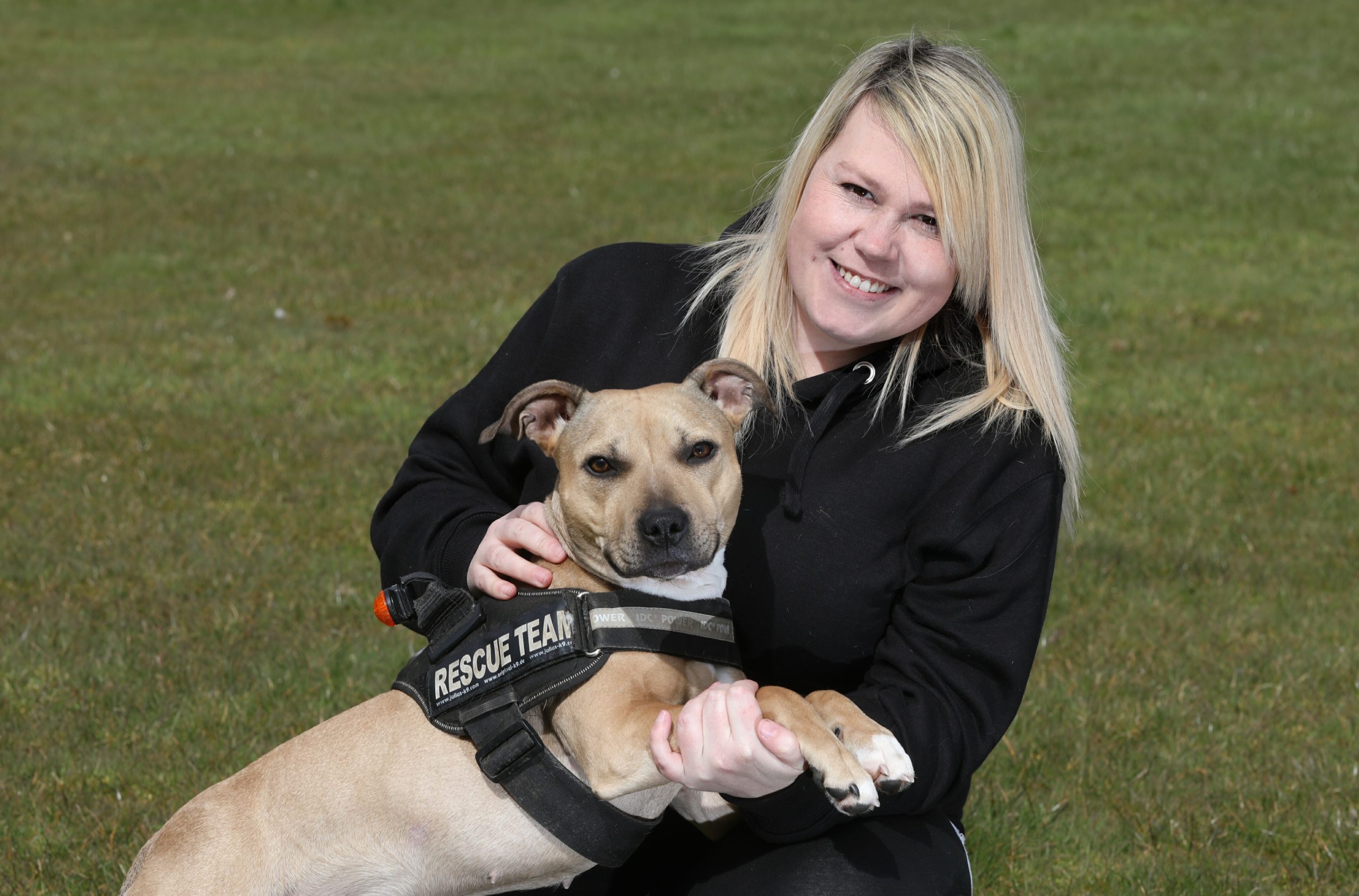 Fife Staffie becomes Scotland's first 'dog sniffer dog' Fife Staffie becomes Scotland's first 'dog sniffer dog'