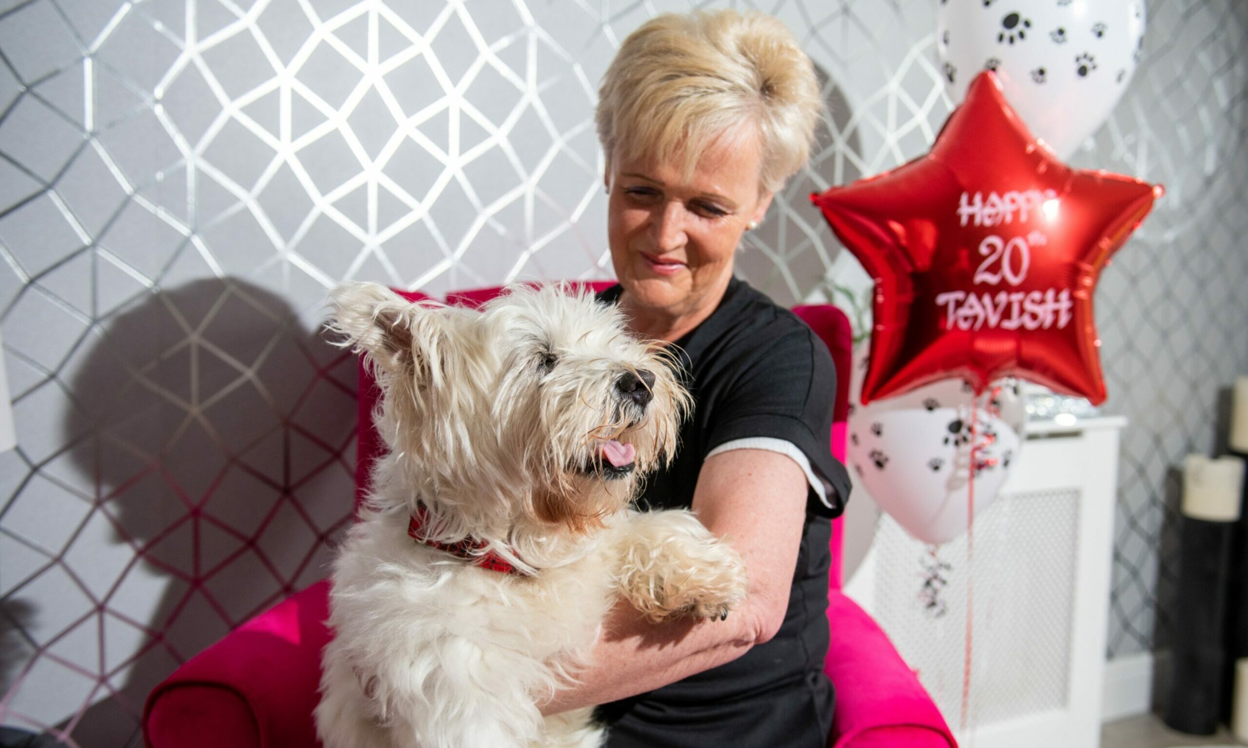 Dundee woman says her dog could be Scotland s oldest Westie