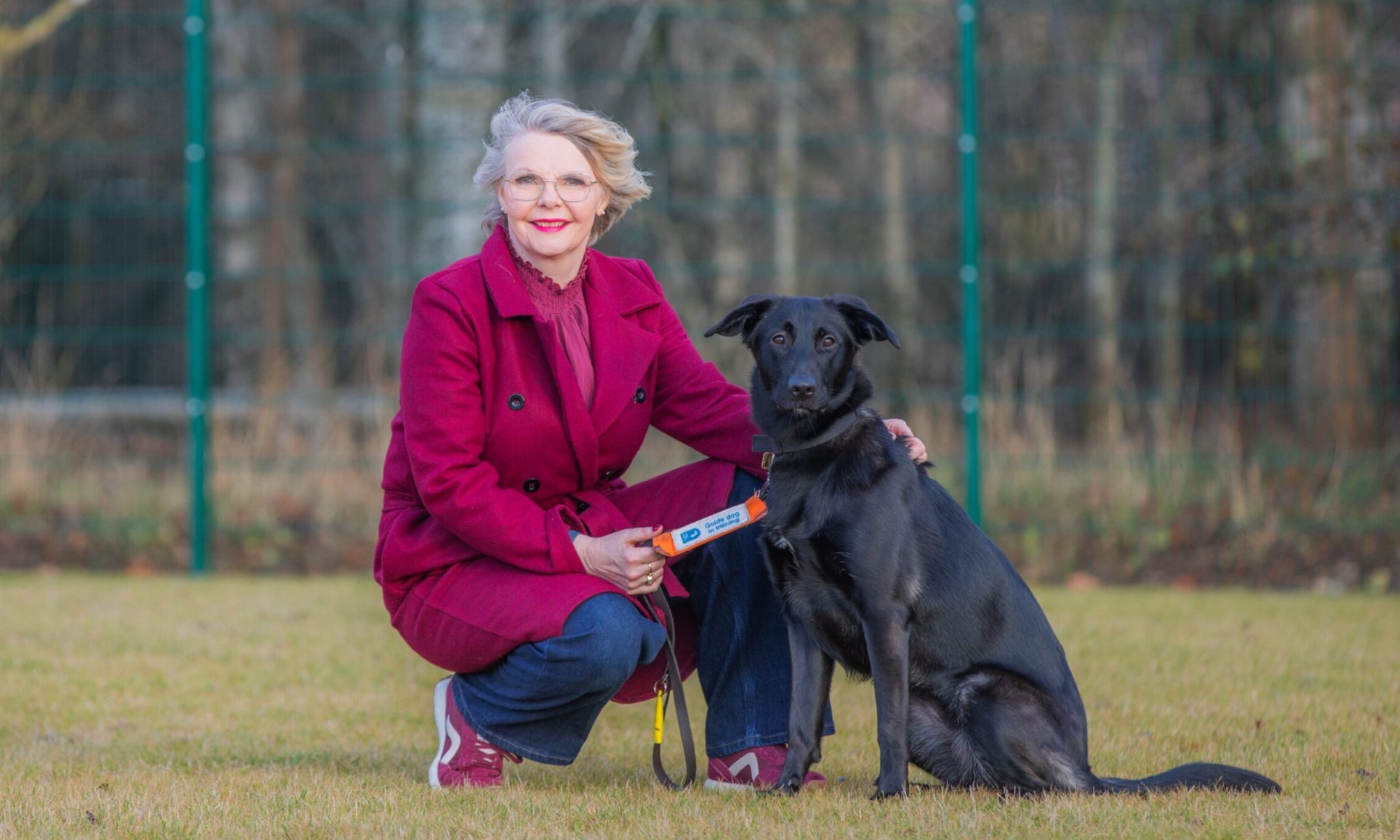 Forfar Guide Dogs fosterer Wendy has homed 100 trainees