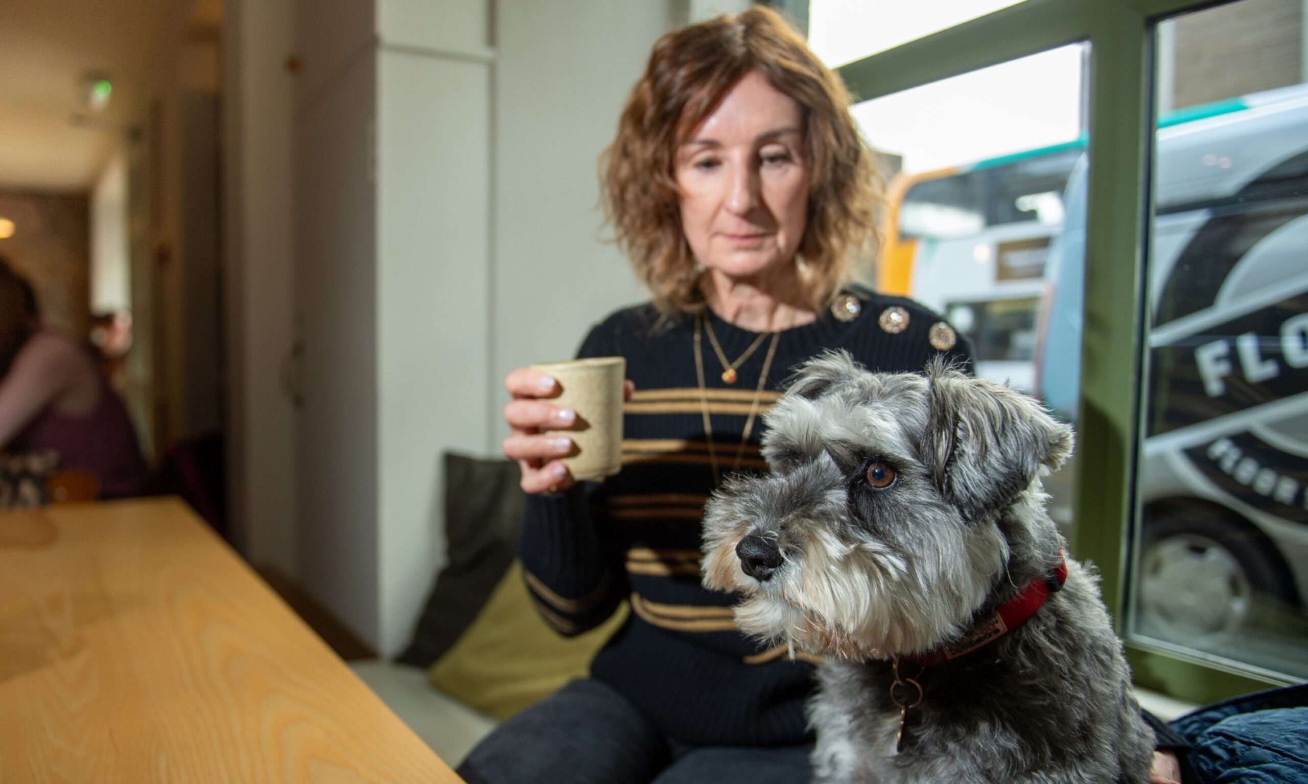Is it time to ban dogs from Dundee’s cafes?