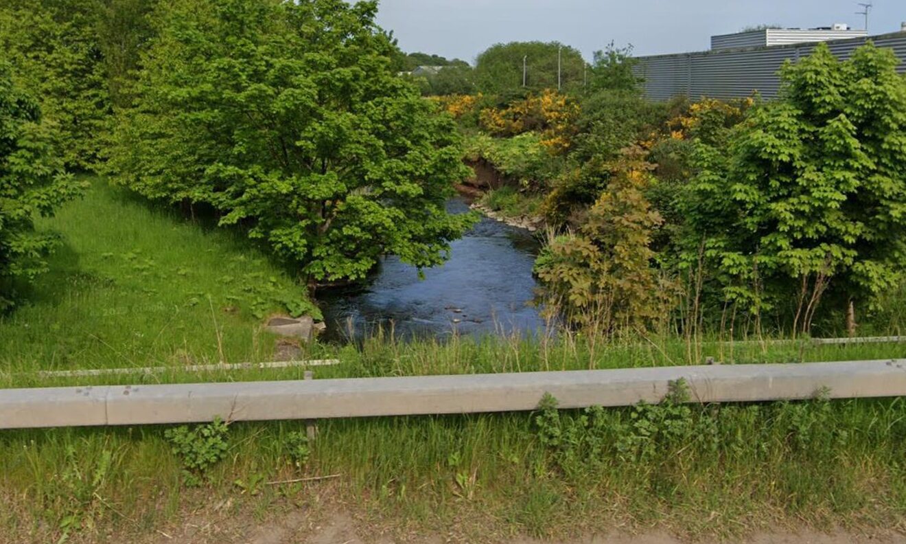 Police probe after dead dog found 'dumped' in Dundee burn