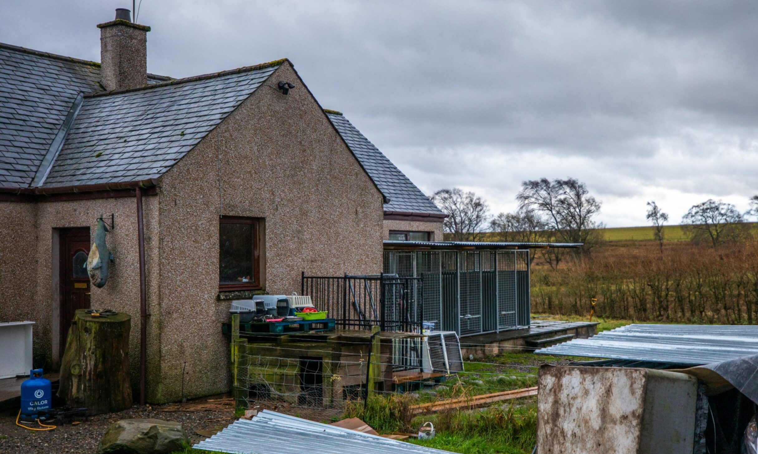 Businessman accused of neglecting cats and dogs at Perthshire farm